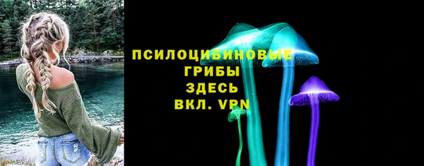 синтетический гашиш Алексин