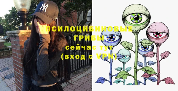эйфоретик Алзамай