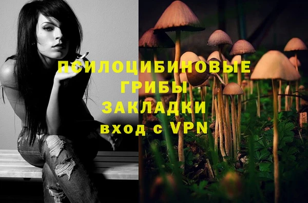эйфоретик Алзамай