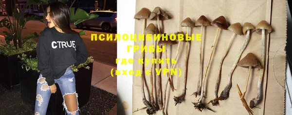эйфоретик Алзамай