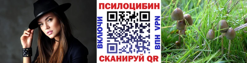 МЕГА зеркало  Невинномысск  Галлюциногенные грибы MAGIC MUSHROOMS 
