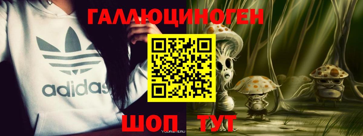 Псилоцибиновые грибы Psilocybine cubensis Невинномысск